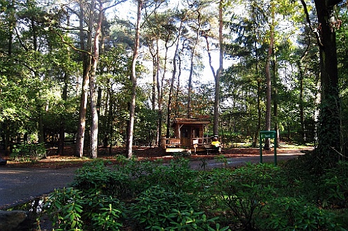 Vennenbos (2)